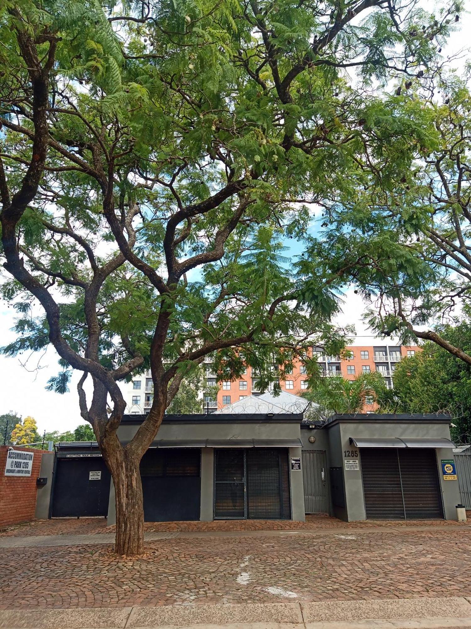 Accommodation@Park1285 Pretoria-Noord Kültér fotó